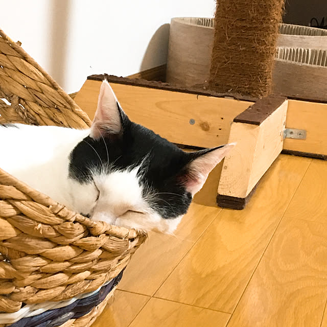 nobikoさんの実例写真