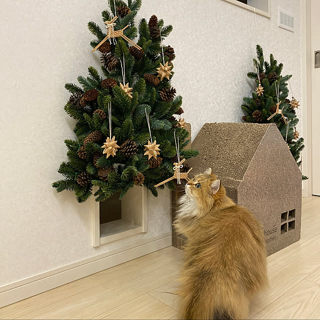 furitamaさんの実例写真
