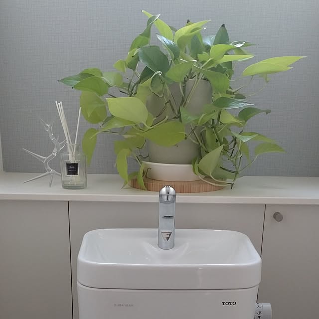 tan5さんの部屋