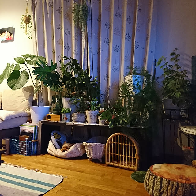 akiさんの実例写真