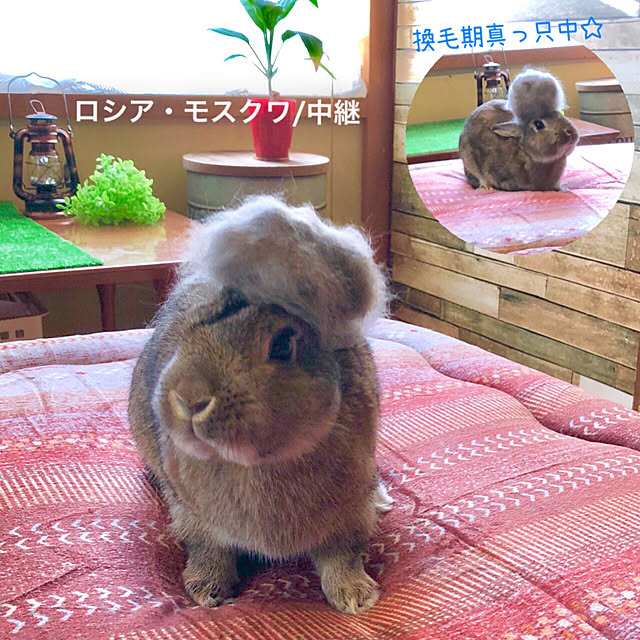 muuさんの実例写真