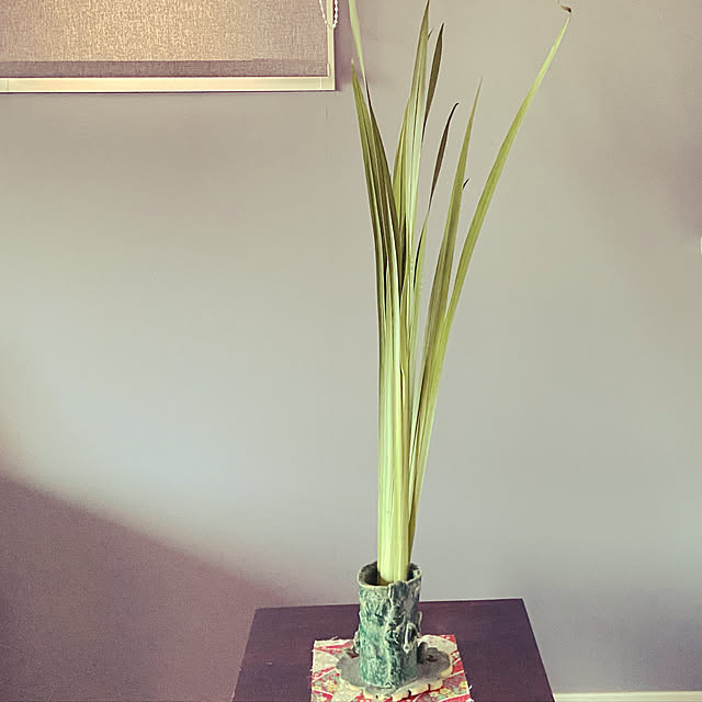 mikoさんの実例写真
