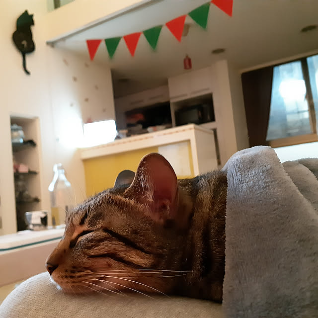CinqinTWさんの実例写真