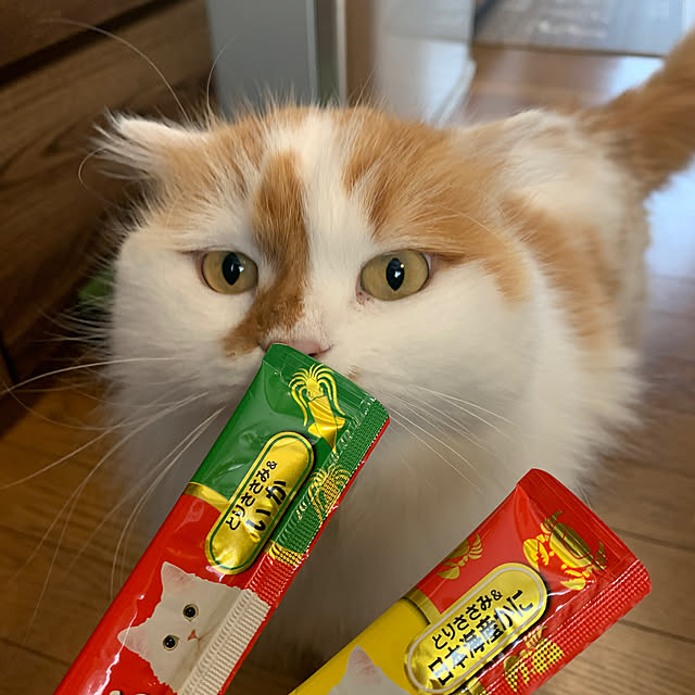 keiさんの実例写真