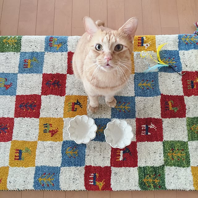 qo_op4649さんの実例写真