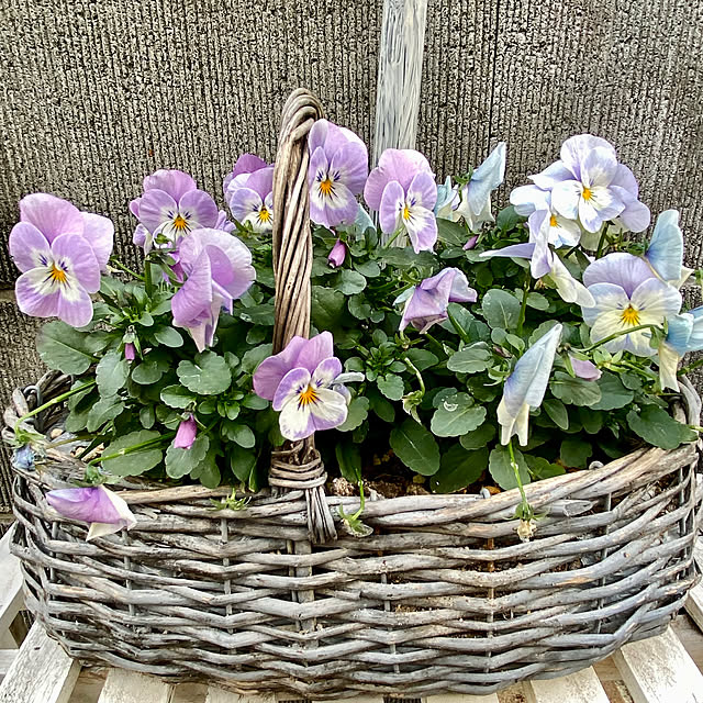 YuuKoさんの部屋