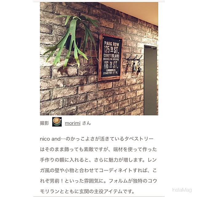 morimiさんの実例写真