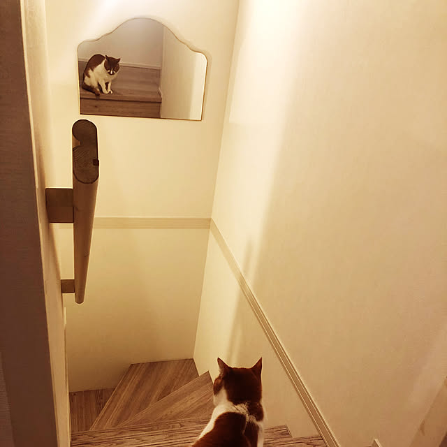 mayuyuyuさんの実例写真