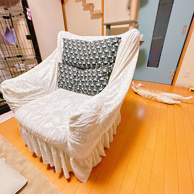 moolさんの部屋