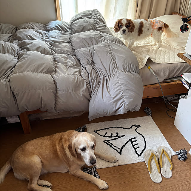 taeoさんの部屋