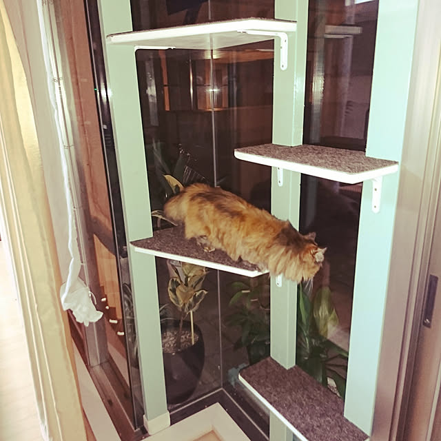 nekomajinさんの実例写真