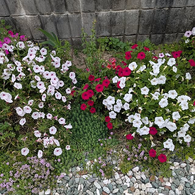 machikomamaさんの部屋