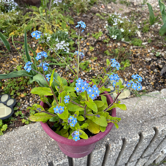 ritsukoさんの部屋