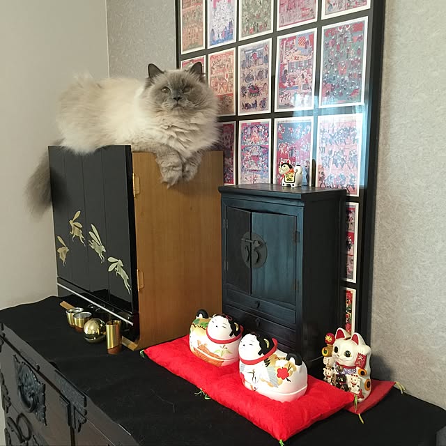 yuchiさんの実例写真