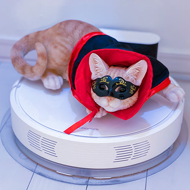 farekananiさんの実例写真