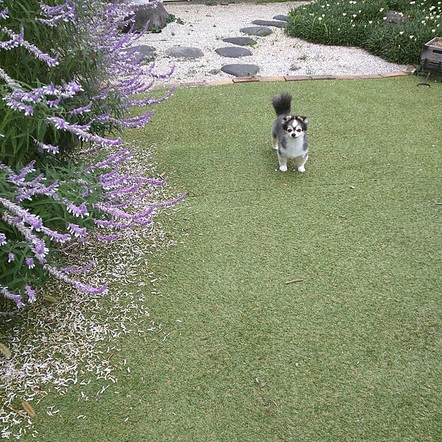 mizuさんの実例写真