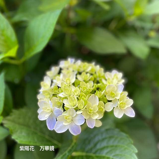 buchiさんの実例写真