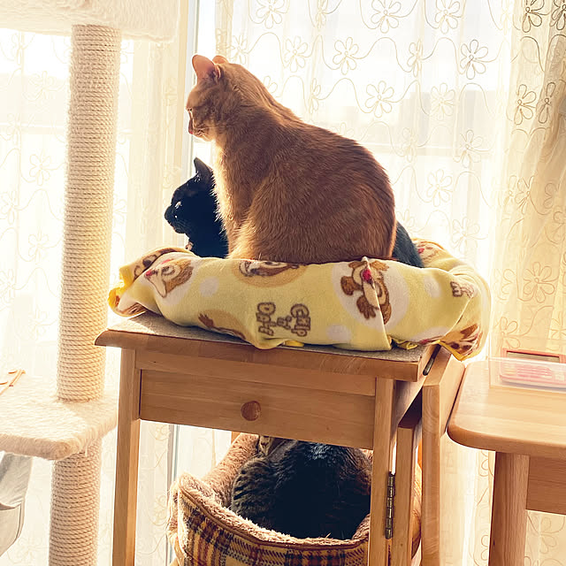 naturalさんの実例写真