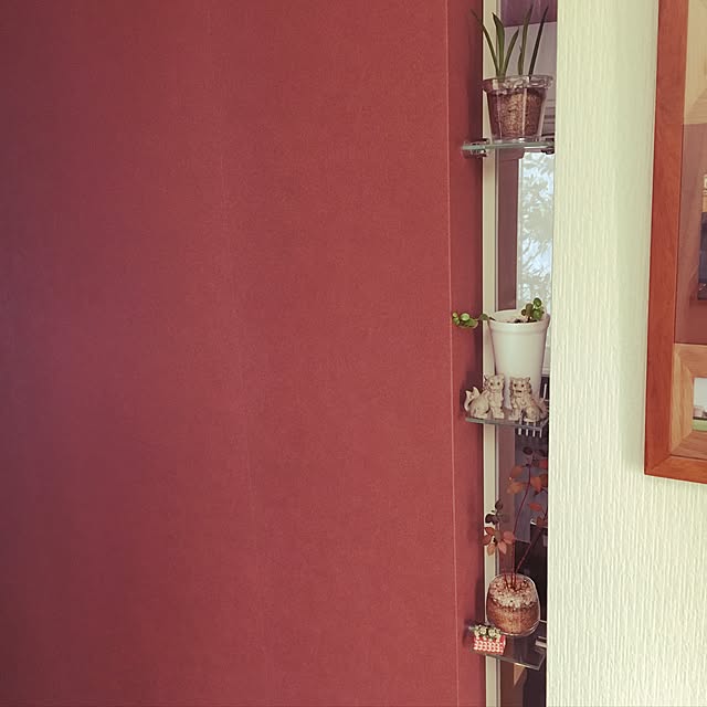 etsuさんの実例写真