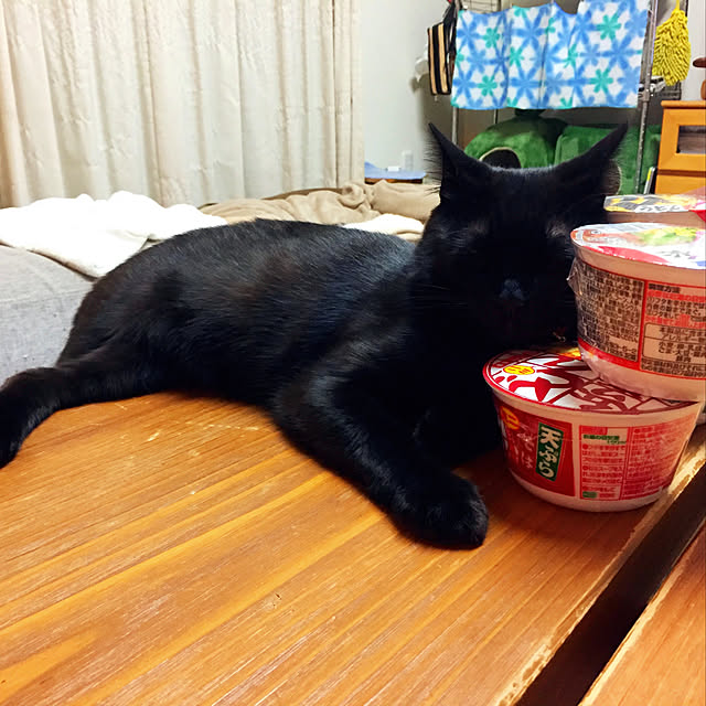 nanaさんの実例写真