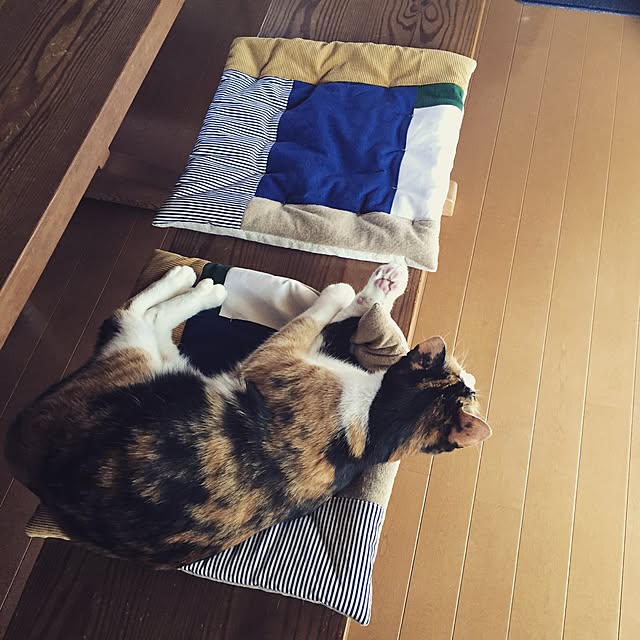 mayugonさんの実例写真