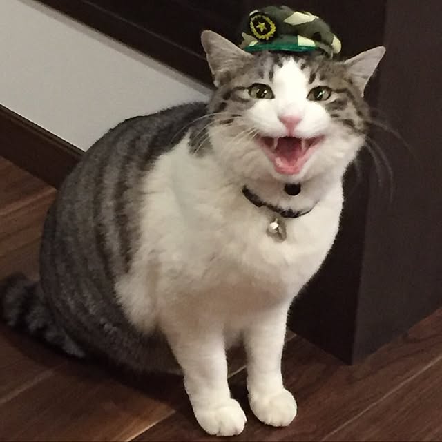 cherryさんの実例写真