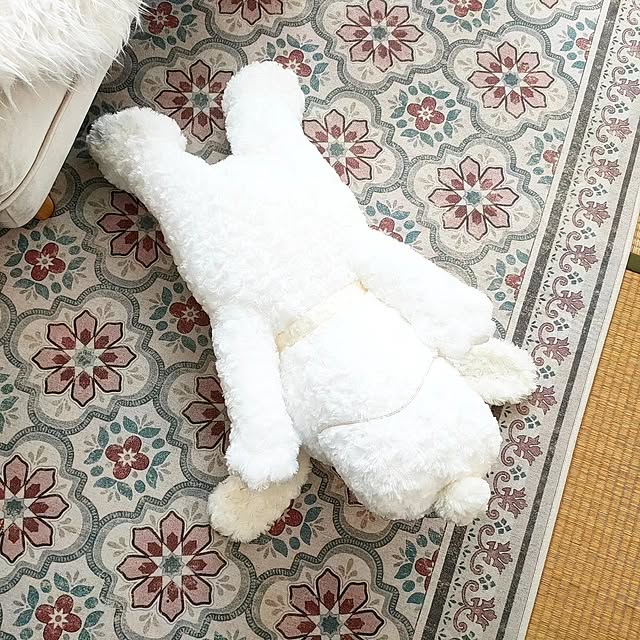 YUKKIさんの部屋