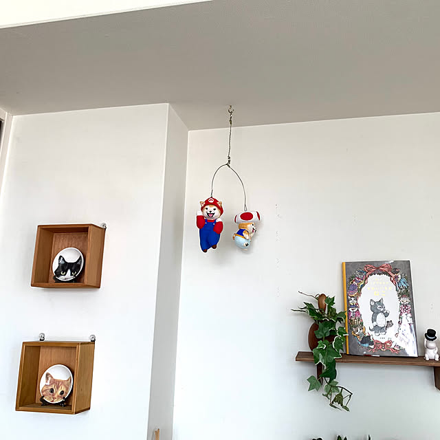 kotatsuさんの部屋
