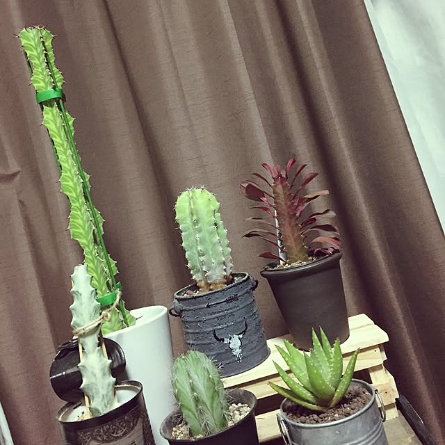 misaさんの実例写真