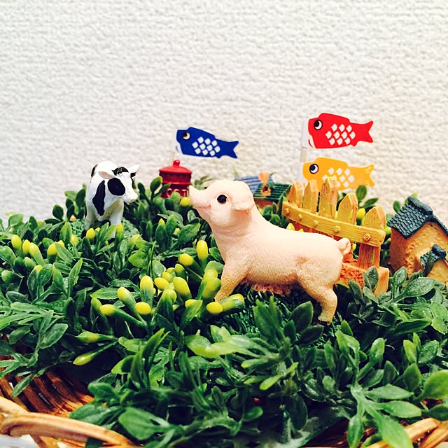 rinrinさんの実例写真
