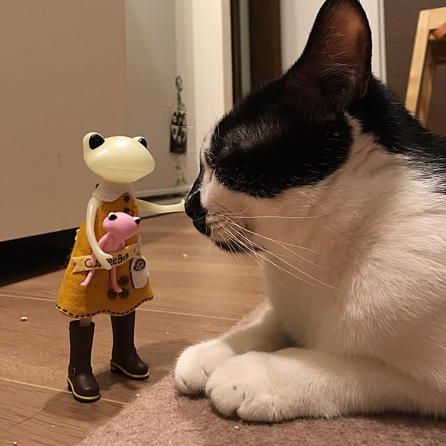 mikomaruさんの実例写真