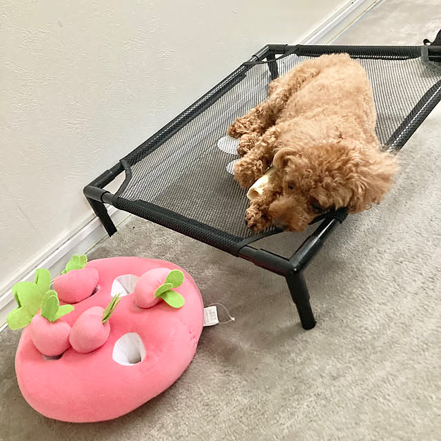 MOMOMAMAさんの実例写真