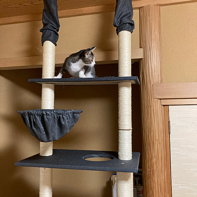 sannkakunomimiさんの実例写真