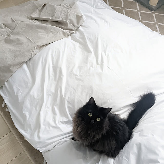 kumiさんの実例写真
