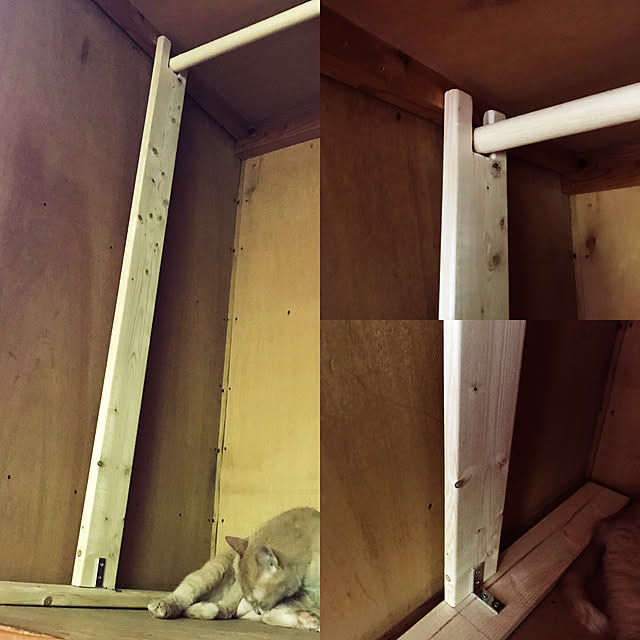 mikan161さんの実例写真