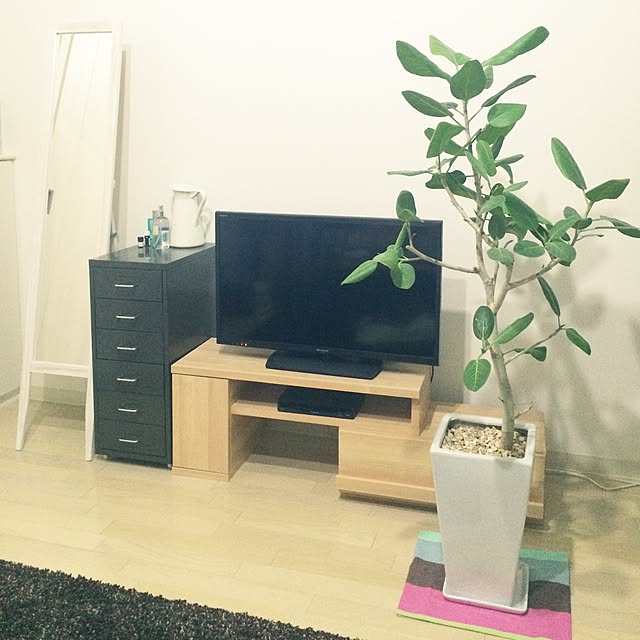 部屋全体/IKEA/観葉植物/一人暮らしのインテリア実例 - 2015-12-01 00:57:41