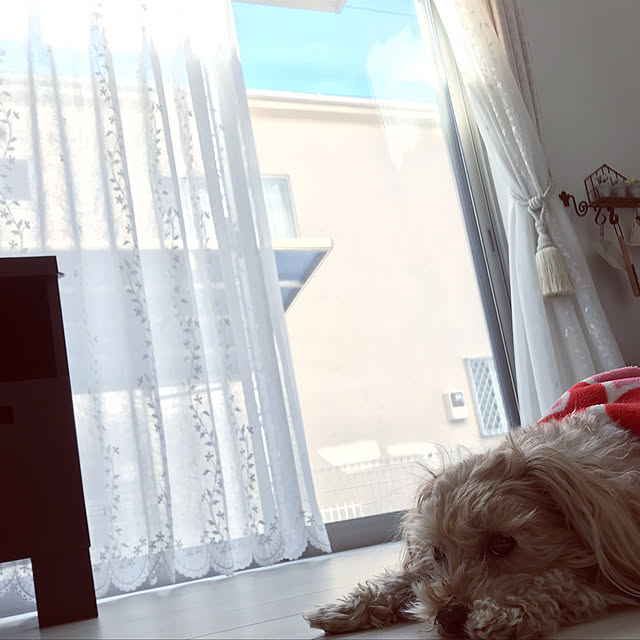 miyumiyuさんの実例写真