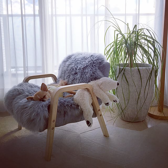 haruhinaさんの実例写真