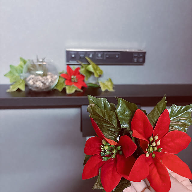 tomatoさんの部屋