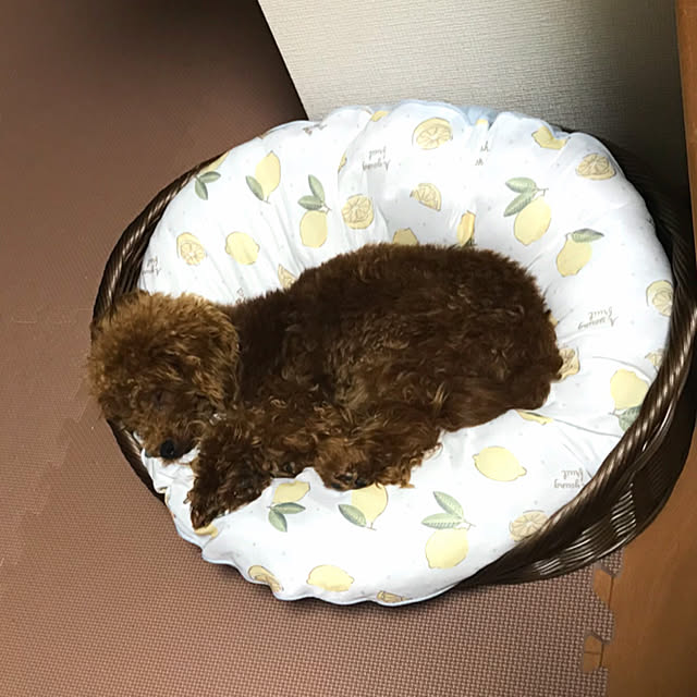 yo_koさんの実例写真