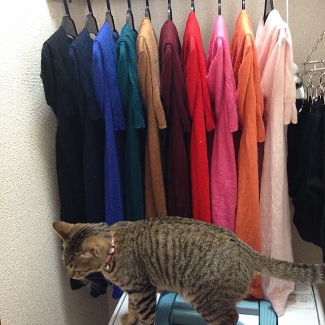 mojikoさんの実例写真