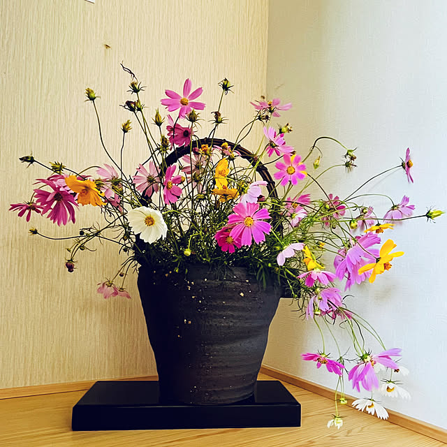 玄関/入り口/リサイクルショップで買った花器/コスモス/和テイストのインテリア実例 - 2023-10-06 10:54:26