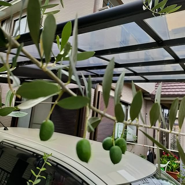 mori_6_12さんの実例写真