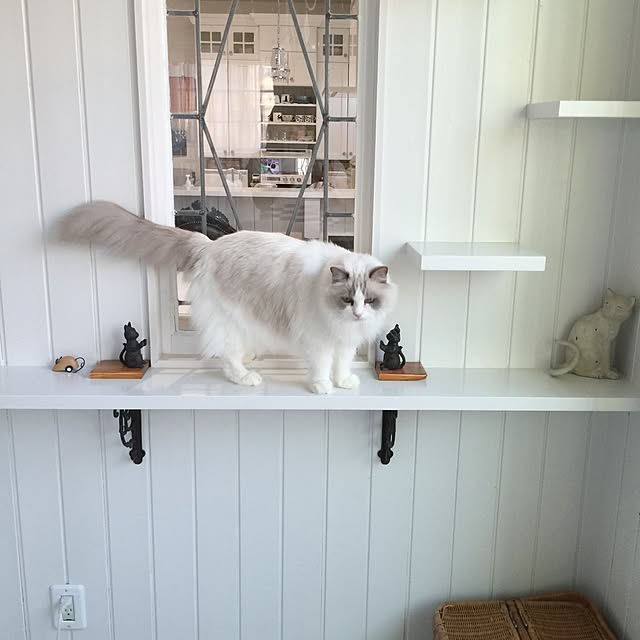 yuchiさんの実例写真