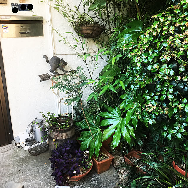 neko-2.2.2runmuさんの実例写真