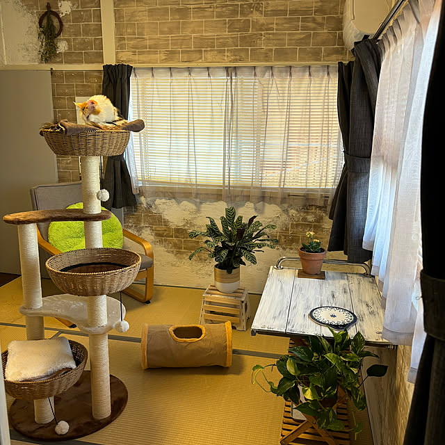 Mikazukiさんの部屋