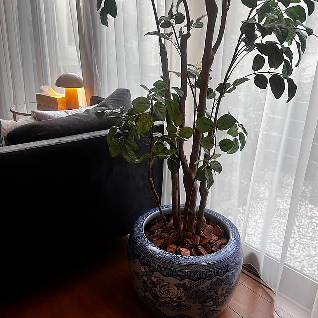 kamuさんの実例写真