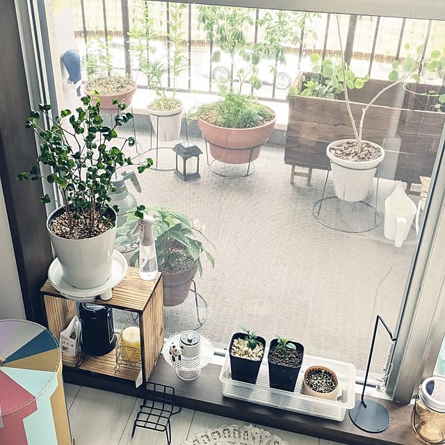 mi-saさんの部屋