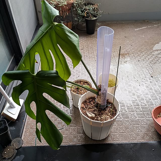 kolo92さんの実例写真