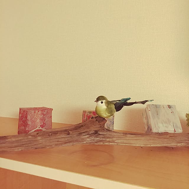 chokon456さんの実例写真